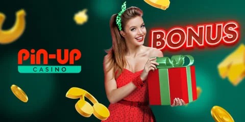 
 Function and appearance of Pin up casino official site
